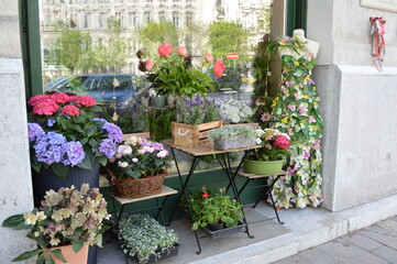 budapest, negozio di fiori