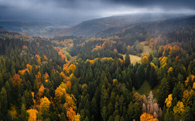 Aerial view of lush green forest in autumn with mountains and river