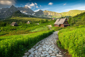 Stone path leading through lush green valley with mountains in background
