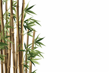 Naklejka premium bamboo or bamboo shoots
