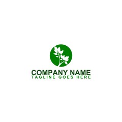 Tree logo icon illustration design template isolated on white background