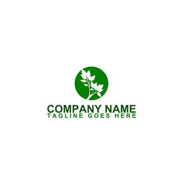 Tree logo icon illustration design template isolated on white background