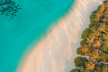 Aerial beach nature concept. Palm beach in tropical idyllic paradise island getaway. Exotic landscape for dreamy inspire summer scene background or wallpaper. Calm sea, relaxing sunny travel coast