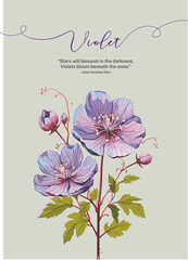 Elegant Pink Violet Flower with Blossoming Buds and Delicate Leaves