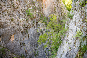 Sapadere canyon in the Taurus mountains near Alanya, Turkey