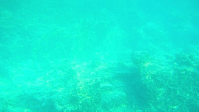 Underwater view of Gemile Island, st. Nicholas island near Fethiye, Turkey