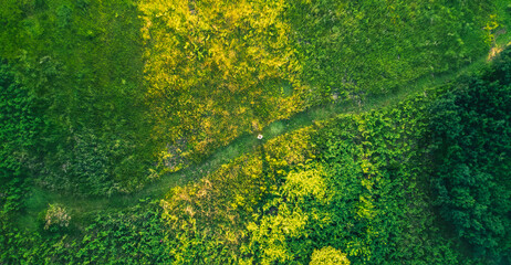 Vue du dessus en drone d'une personne dans la nature sur un chemin de randonnée au milieu d'une...