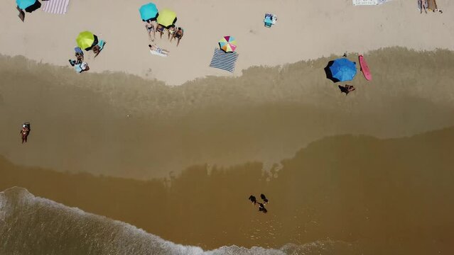 Toma aerea en 4k  de la playa del palmar empezando en la arena y volando hacia el mar