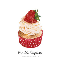 Vanilla strawberry cupcake dessert, watercolor food painting vector design isolated on white background