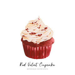 Red velvet cupcake dessert, watercolor food painting vector design isolated on white background