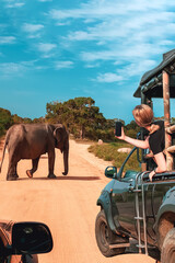 Wildlife safari.Eco travel in the jungle with wild animals elephants.Tropical tourism in the wild life of elephants.Road trip jungle,eco safari.Elephant wild life