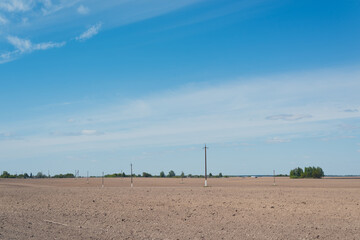 Agricultural field after planting potatoes. Beautiful landscape with blue sky.