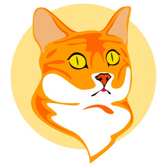 Red cat with yellow eyes, pet muzzle illustration