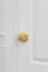 gold door knob handle. reflective surface and modern design add touch of luxury to entrance door....