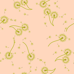 Dandelion background your design. Abstract floral seamless pattern.