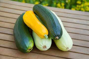 Zucchinis of different colors on a wooden table in a garden