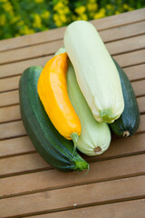 Zucchinis of different colors on a wooden table in a garden
