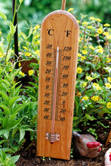 Thermometer between flowers shows 28&deg; Celsius