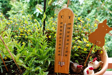 Thermometer between flowers shows 28&deg; Celsius