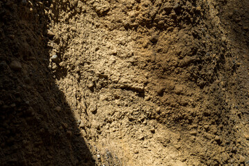 Close Up on a Dolomite Sandstone Texture at Dawn