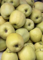 tasty apples as delicious fruits close up