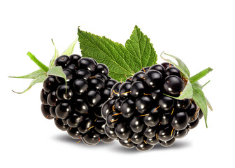 Blackberries with leaf isolated on white background with clipping path