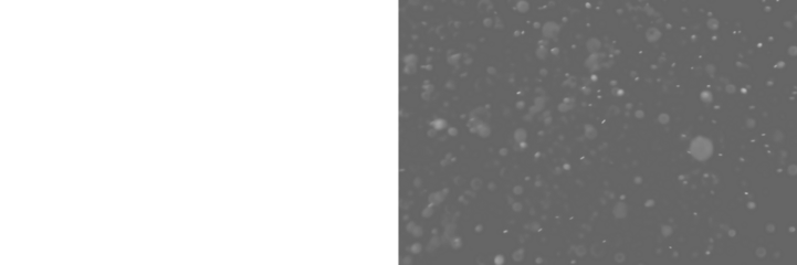 Falling snow isolated on transparent background. Heavy  light snowfall, snowflakes Snow flakes, snow background.  Bokeh lights png