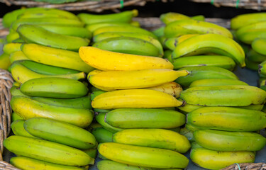 bunches of bananas close up