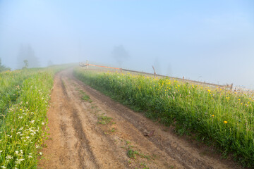 Fototapeta na wymiar Road on the mountain top leads into the fog. Green meadows, old wood fence. Ukraine, Carpathians.
