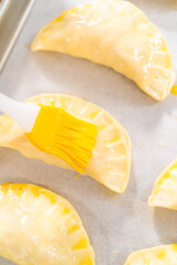 Turkey empanadas