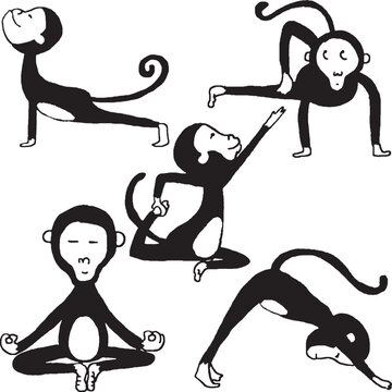 divertido mono haciendo posturas de yoga en blanco y negro
