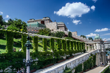 Fototapeta premium Buda castle