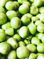 Harvest organic vegetables green peas.