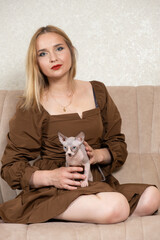 A woman holds a small Canadian Sphynx kitten in her hands. Love for pets, cat's day.