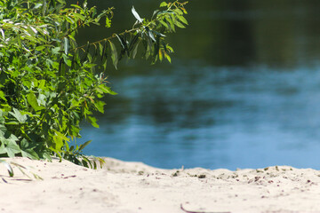 Flora And Fauna Of Reservoirs And Meadows