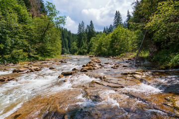 Mountain river in the forest among the rocks