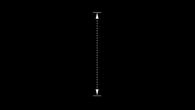 White vertical dotted line measuring height animation, alpha channel