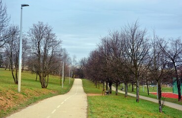 Bicycle road running through the park with a landscape of bare trees and grass fields in the park in the early spring of April