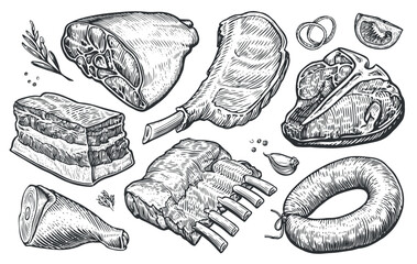 Fresh raw meat products. Sketch engraved style. Hand drawn vector illustration for butcher shop or restaurant menu - obrazy, fototapety, plakaty