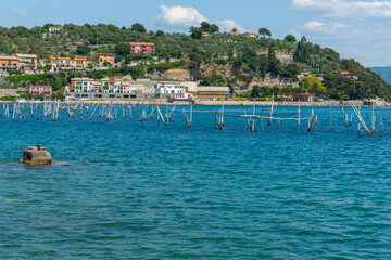 Scenic bay in Portovenere with stick structure of traditional mussel cultivation in water