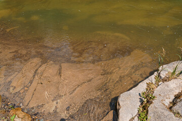 Mountain river in the forest among the rocks