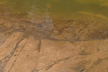 Mountain river in the forest among the rocks