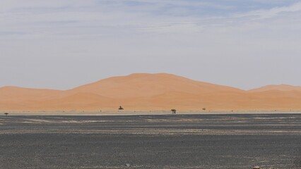 sahara