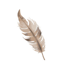 Feather bird watercolor