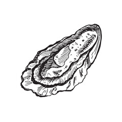 Oysters sketch hand drawn vector with engraving style illustration of logo or emblem for design seafood menu, lunch, packaging. Classic o appetizer of American steakhouse or French bistro