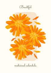 orange flower arrangement. flower poster with flat petals