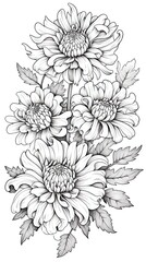 Cute Aster flower in coloring page style illustration. Line art painting. Generative AI