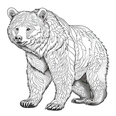 Obraz na płótnie Canvas Black bear animal line art illustration. Black and white coloring page style art. Generative AI