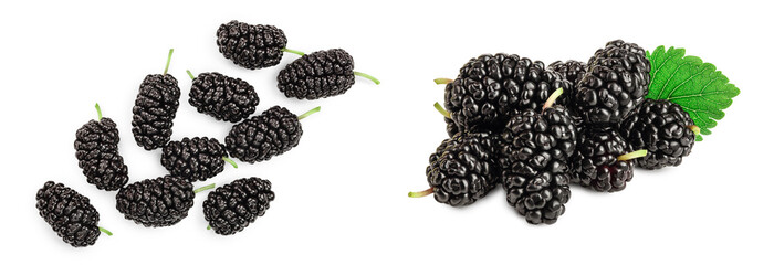 Mulberry isolated on white background.Top view. Flat lay