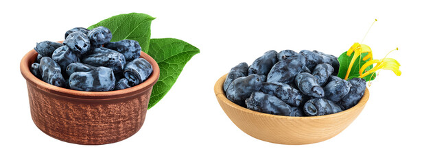 Fresh honeysuckle blue berry in ceramic bowl isolated on white background with full depth of field